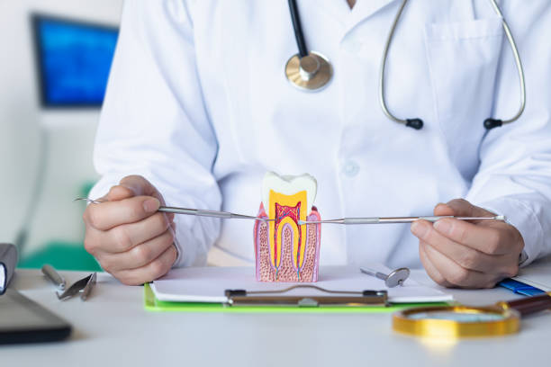 Best Emergency Denture Repair in Laurel Hill, NC